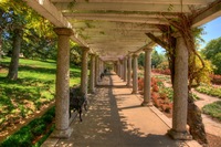 The-walkway