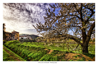 Suddenly-spring-