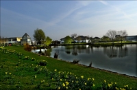 Stockley-park-lake