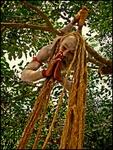 Sadhu-hanging-around