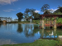 The-fountain-lake