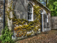 Ivy-house