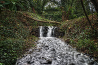 Small-waterfall-in-the-woods