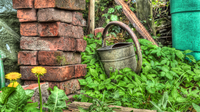 Watering-can