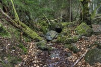 Entry-of-the-hobbits