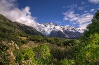 Looking-for-kea-point
