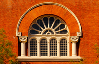 The-window