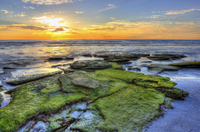 Siesta-key-sunset