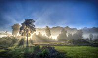 Light-fog