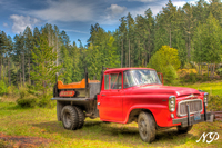 The-beefsteak-dump-truck