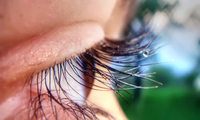 Eye