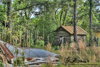 Abandoned-ruins