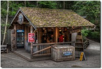 Dr-wood-s-cabin