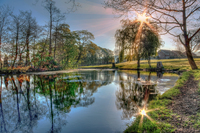 Spring-in-the-park