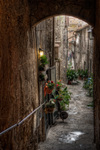 Alley