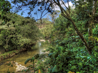 Metal-bridge-on-deep-jungle