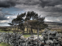 Dartmoor