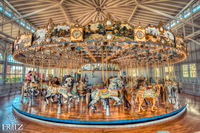 New-haven-carousel