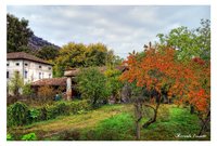 Countryside