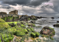 Low-tide