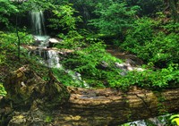 Denny-ridge-