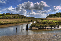 Hackney-marsh-