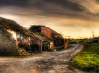 Mysterious-farm