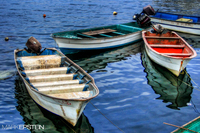 Baja-fishing-boats
