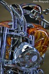 Ironhorse