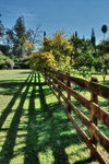 Fence