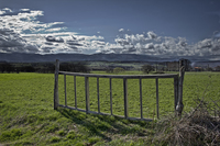 Door-to-the-field