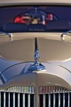 Bride-s-car
