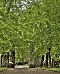 Portal