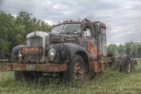 Black-mack-