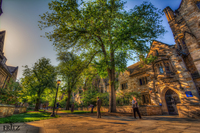 Yale-graduation-day