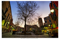 Ultrawide-vision-in-s-polo-venice