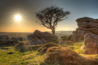 Dartmoor-star
