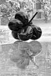 Jeff-koons-artwork-at-the-beyeler-art-gallery