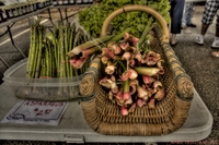 Fresh-rhubarb