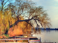 River-danube