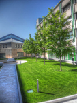 Our-science-faculty