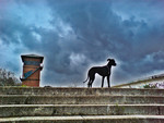 Blacky