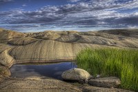 Coastal-nature