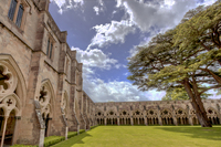 Salisbury-cathederal-cloisters