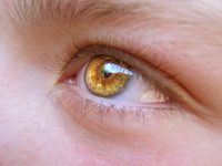 Gabriela-s-eye