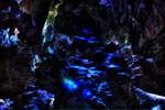 Subterra