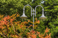 Gray-street-light-