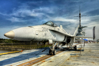Warbird