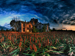 Red-house