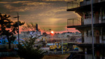 Sunrise-xmas